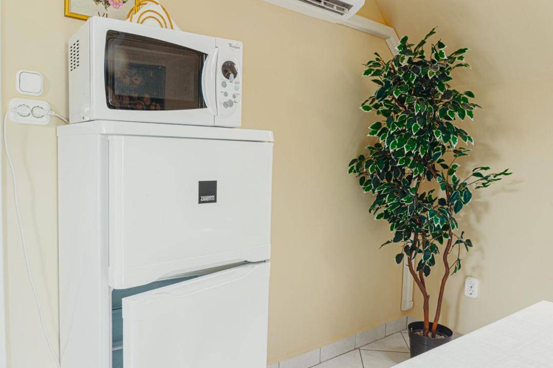 Bianka Apartman Балатонлелле Екстер'єр фото